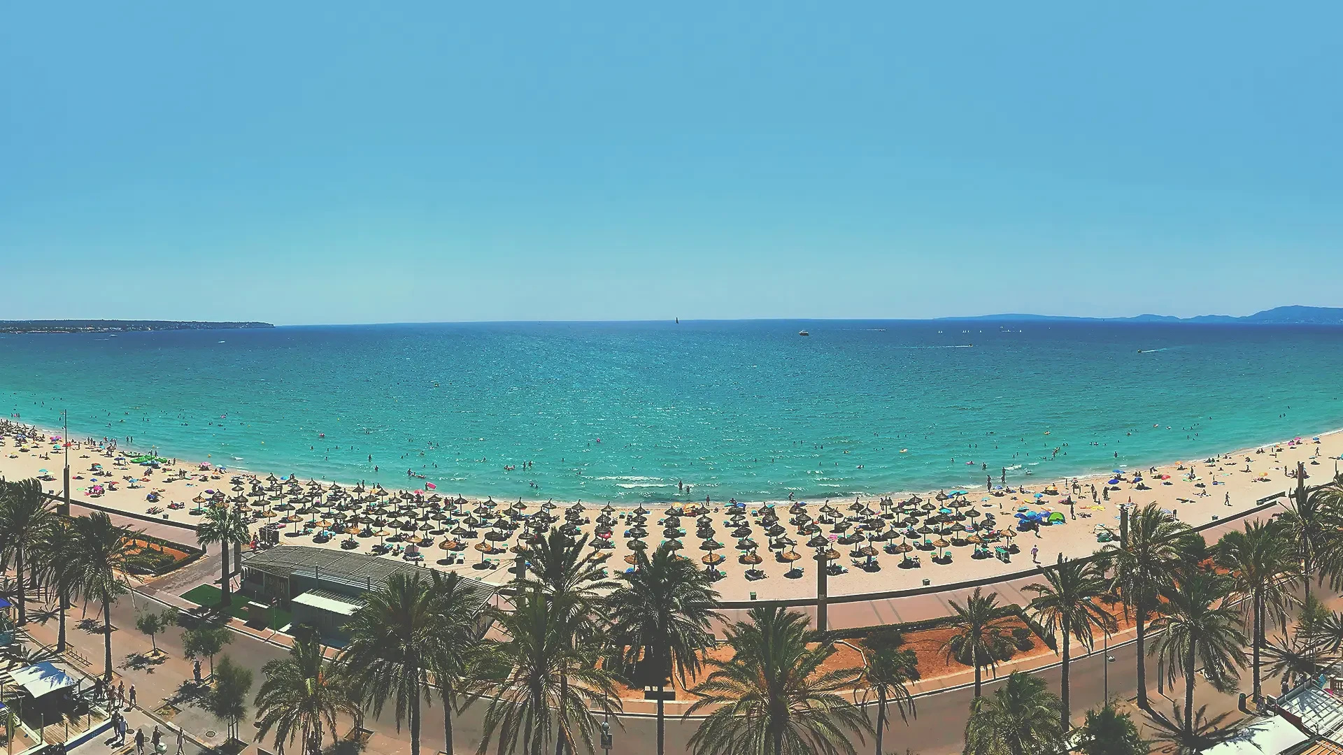 Vistas